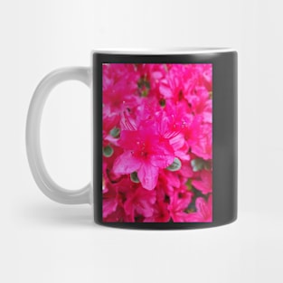 La vie en rose Mug